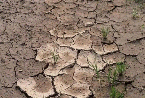 1698633772502793.gif 640 (2).gif