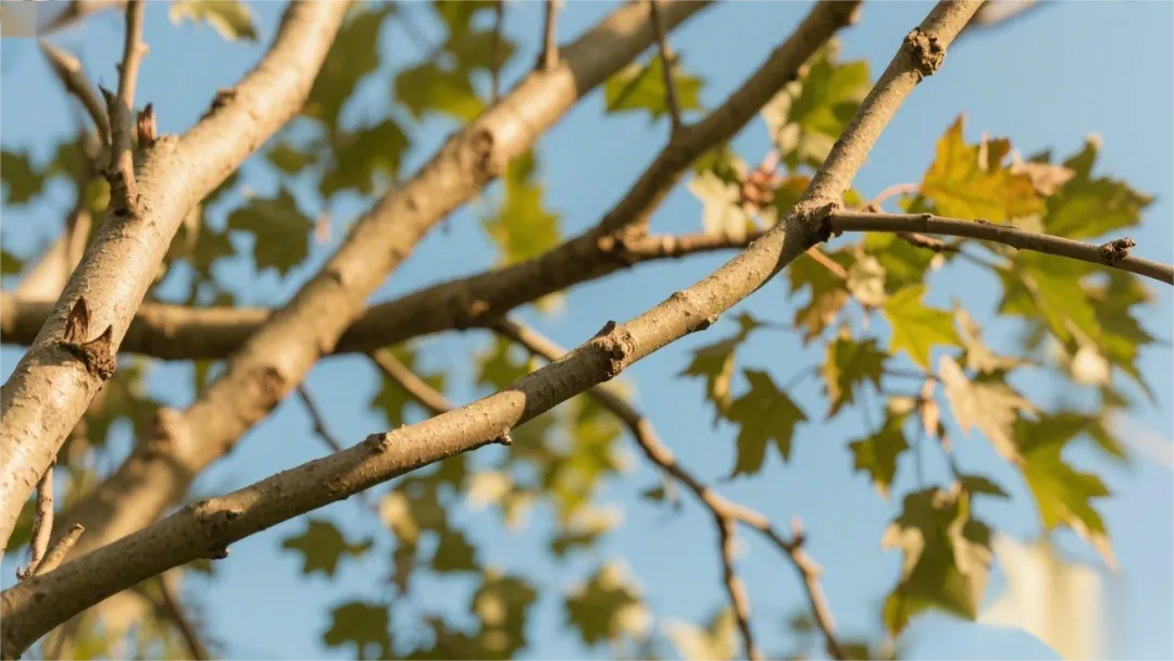 1744600710241220.png 4.png